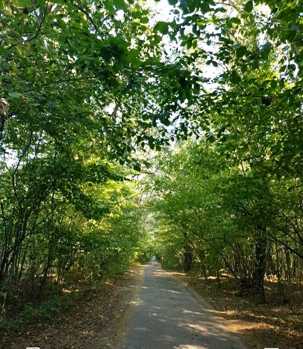 Ексклюзивна земельна ділянка в сосновому лісі, р-н Кавунових дач