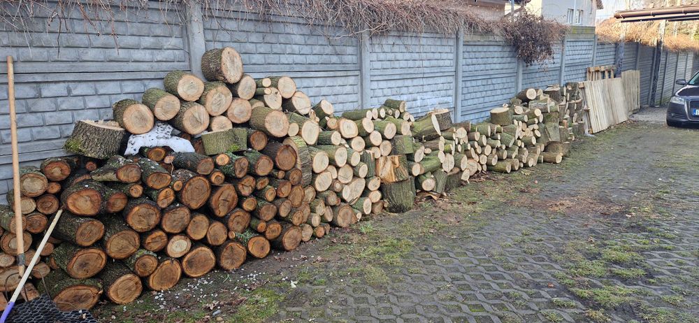 DREWNO do kominka DRZEWO DĄB dębina ŁÓDŹ górna , najtaniej