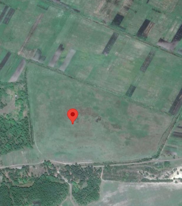 Віддам в оренду землю 50 га