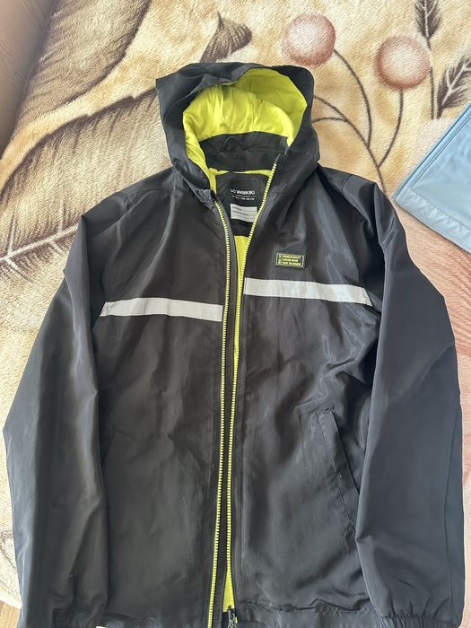 Вітровка підліткова