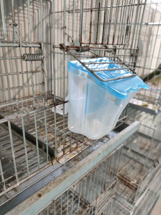 Comedouros pássaros