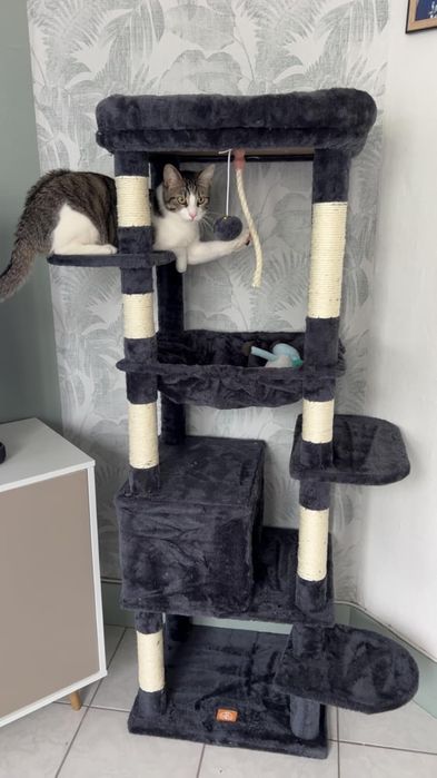 Drapak Dla Kota 6 Poziomów