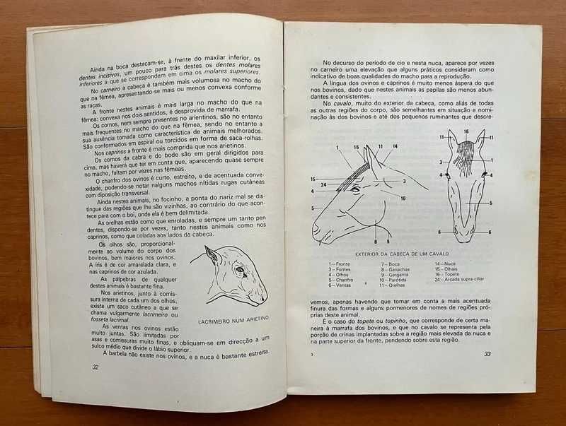 Anatomia Fisiologia e Exterior dos Animais Domésticos