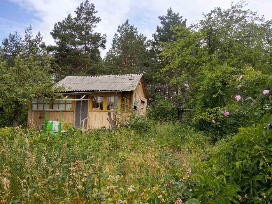 Продаж дачі Київська область с. Вища Дубечня