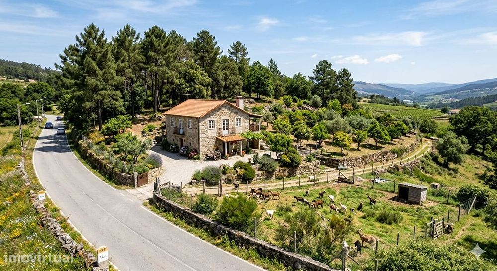 Terreno com casa agrícola Amarante encosta Serra do Marão