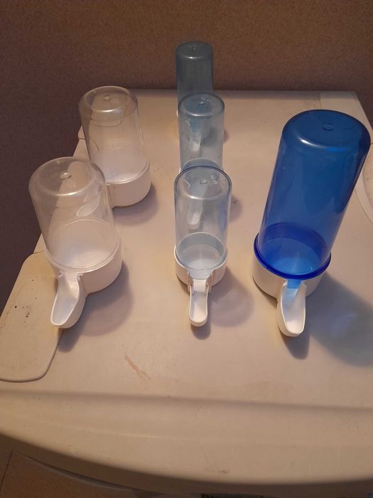 Bebedouros para pássaros