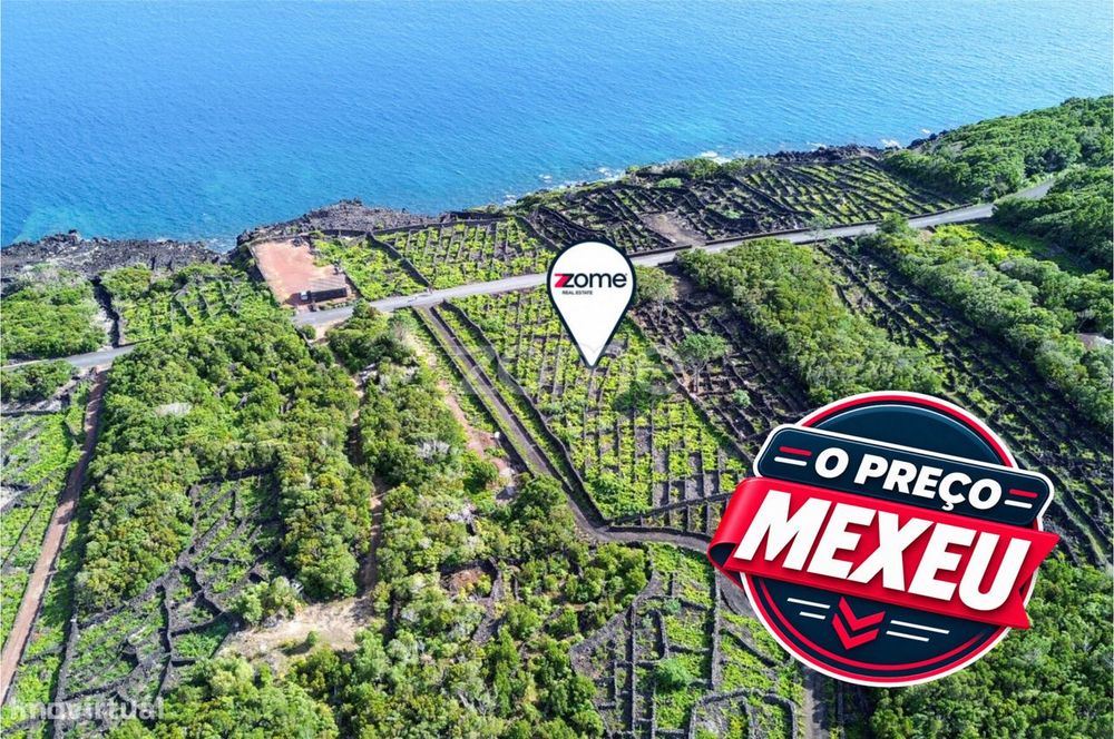 Terreno de vinhas com 2835m2, em São Caetano na Ilha do Pico