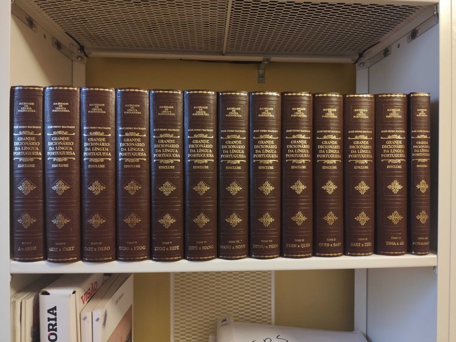 Grande dicionário da língua portuguesa 13 Livros