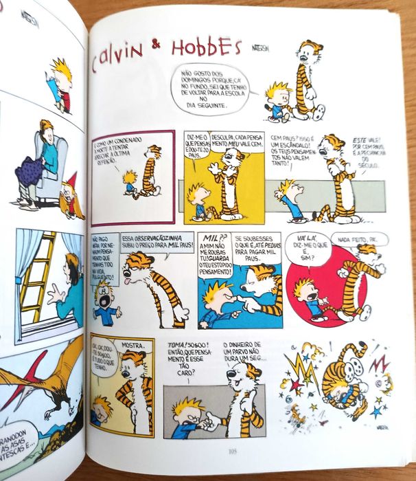 Calvin & Hobles - Plácidos Domingos - banda desenhada