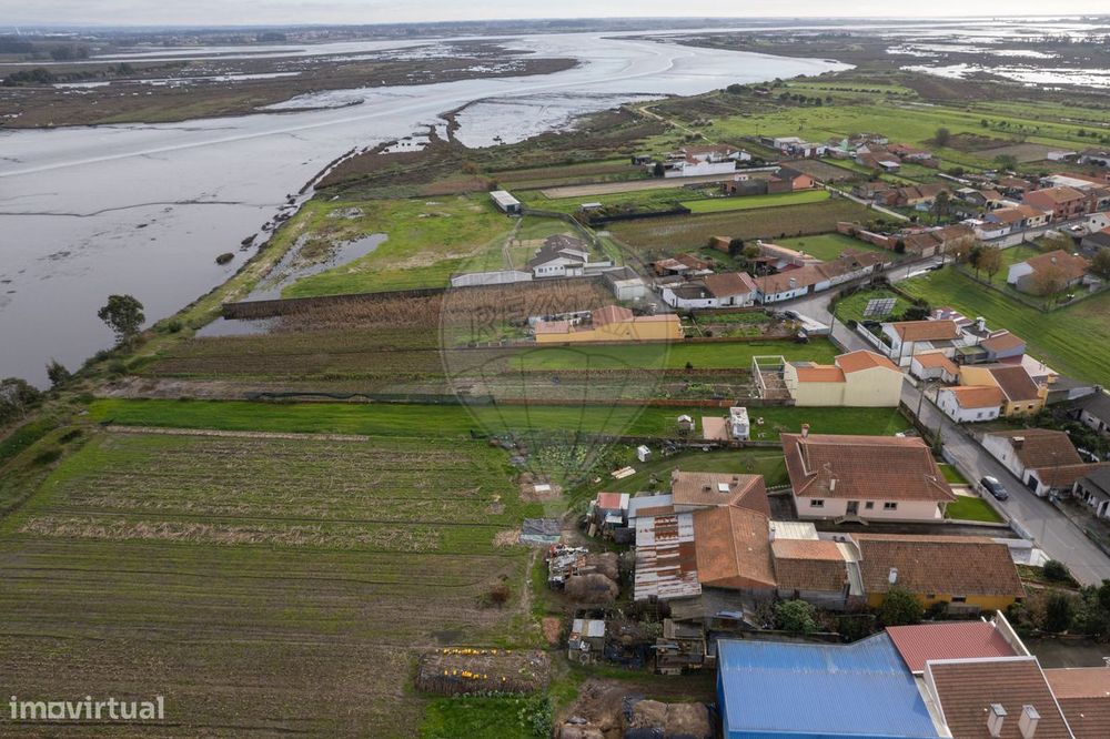 Terreno  para venda