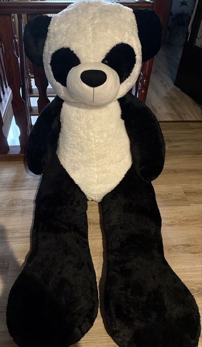Miś pluszowy panda  gigant 200 cm