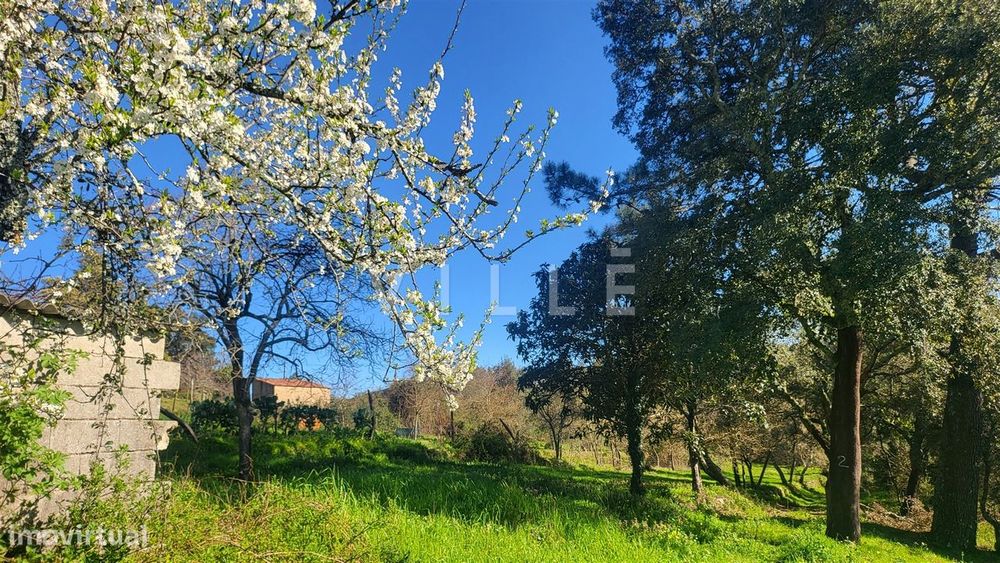 Terreno  Venda em Préstimo e Macieira de Alcoba,Águeda