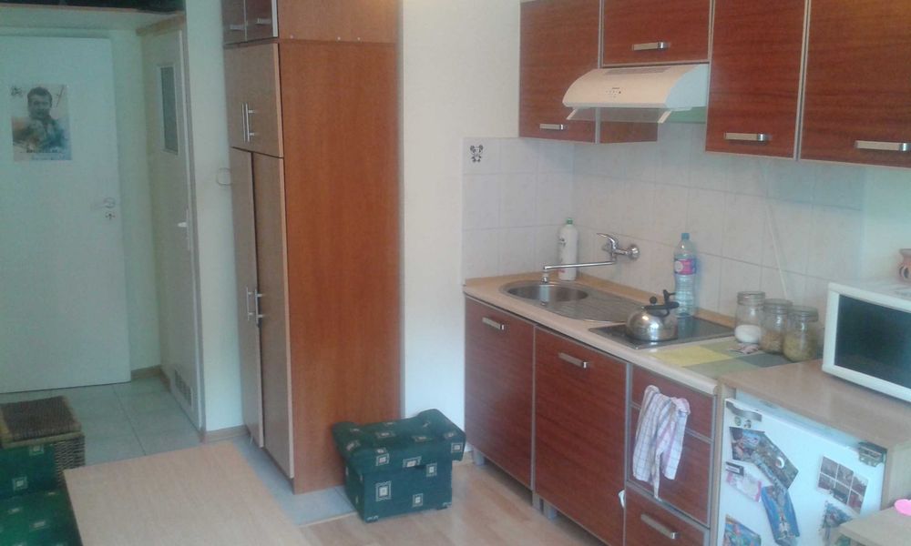 Mieszkanie – Poznań - Widok 2