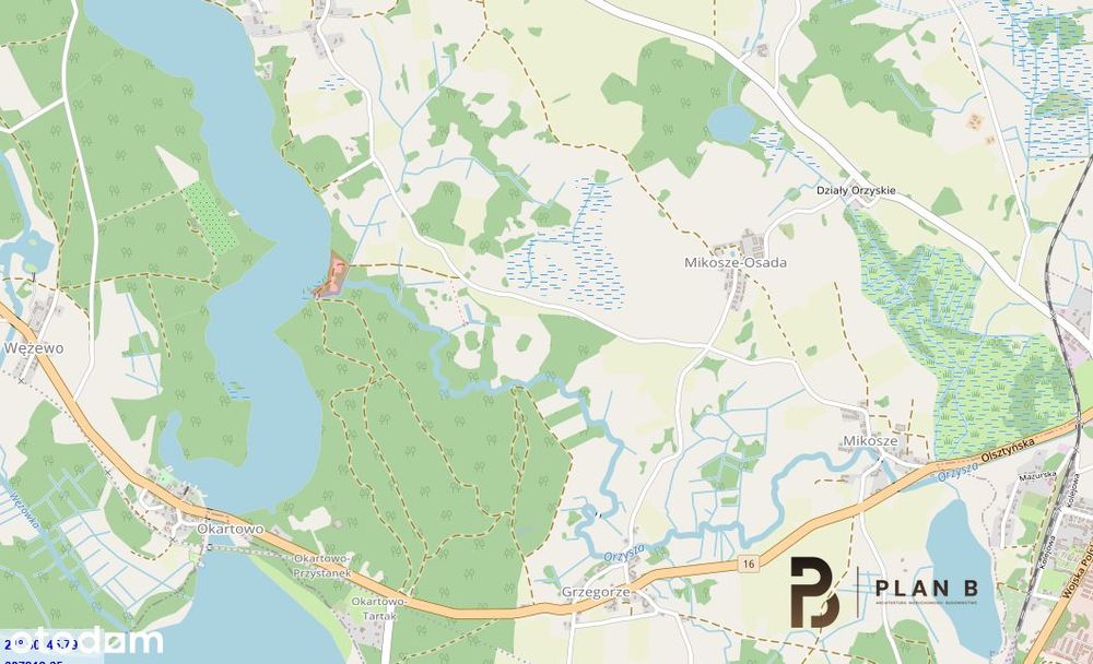 Zdjęcie 8