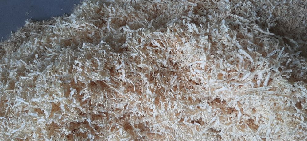 Trociny wióry troty