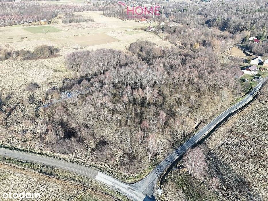 Działka na sprzedaż 94a - Nowy Borek - Widok 4