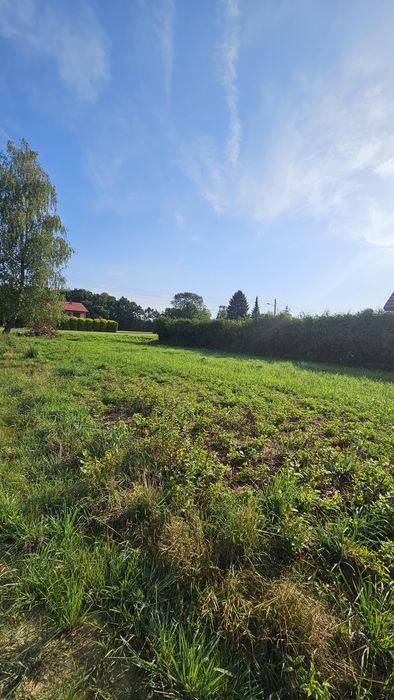 Działka budowlano-leśna 2338 m² Brzeszcze ul. Bór - Widok 3