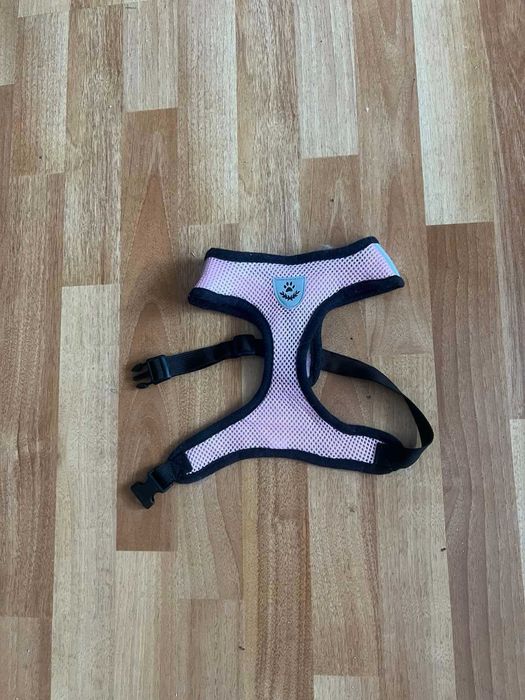 Нашийнік на маленьку собачку або кицю