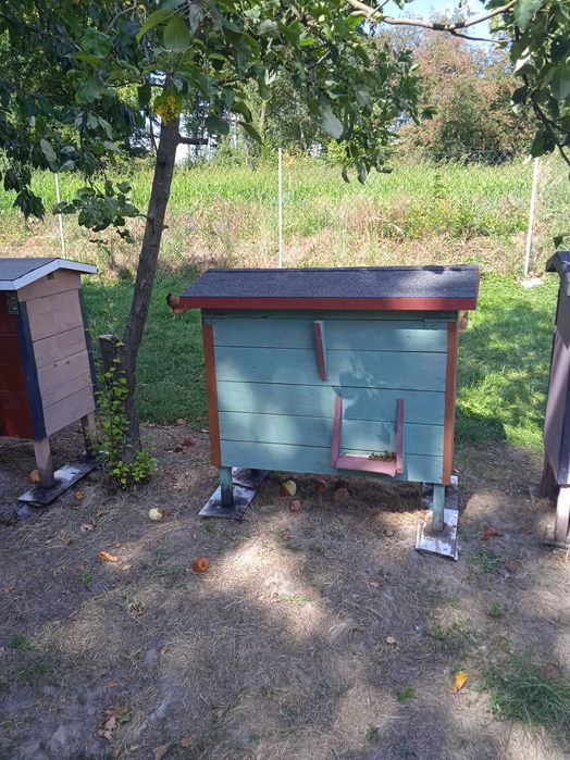 Sprzedam ule warszawskie zwykłe z pszczołami