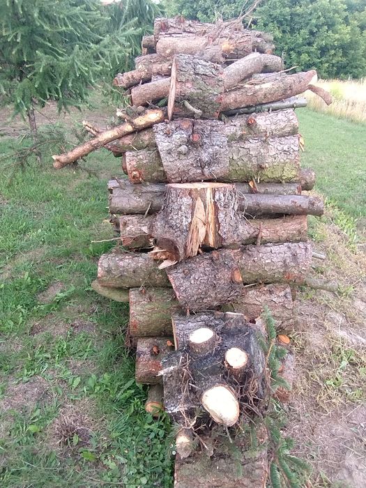 Sprzedam drewno opałowe