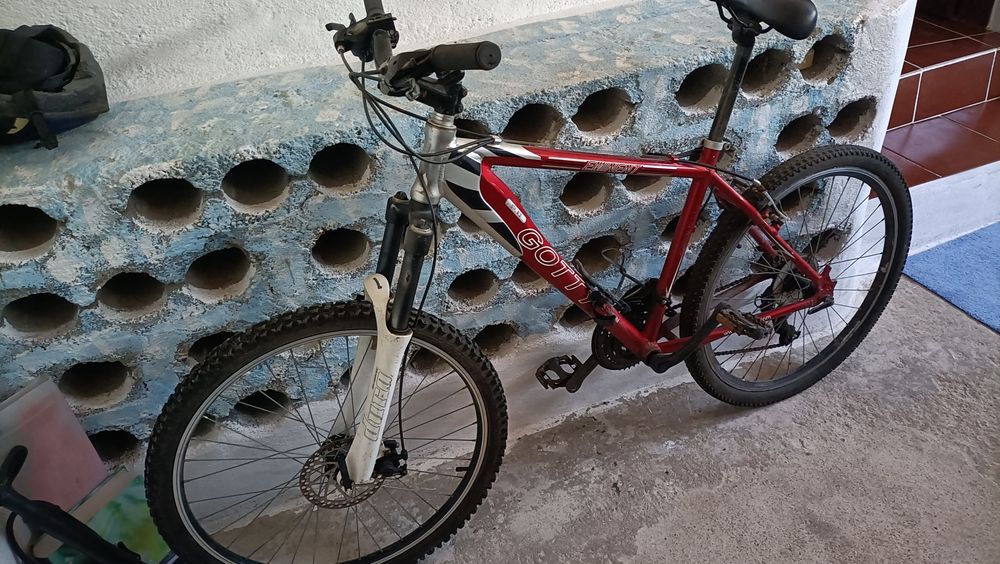 Bicicleta BTT GOTTY
