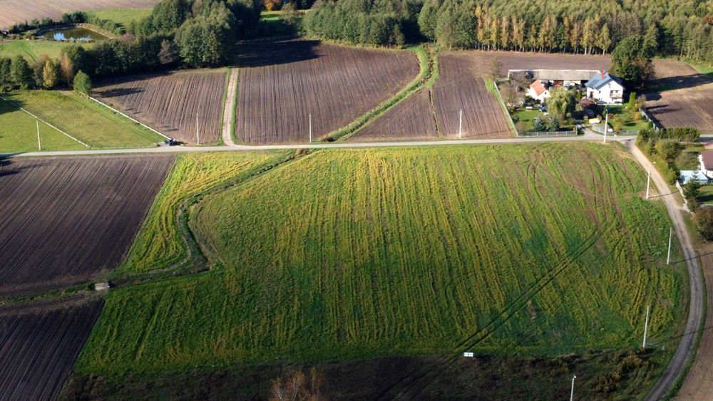 Działka budowlana z warunkami zabudowy bezterminowo