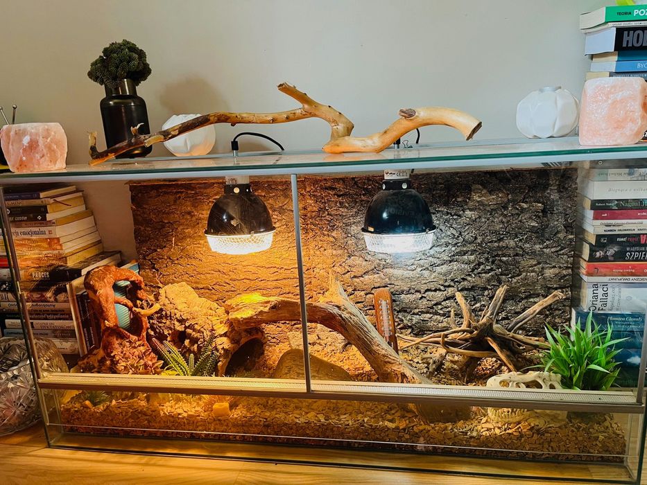 Terrarium z pełnym wyposażeniem