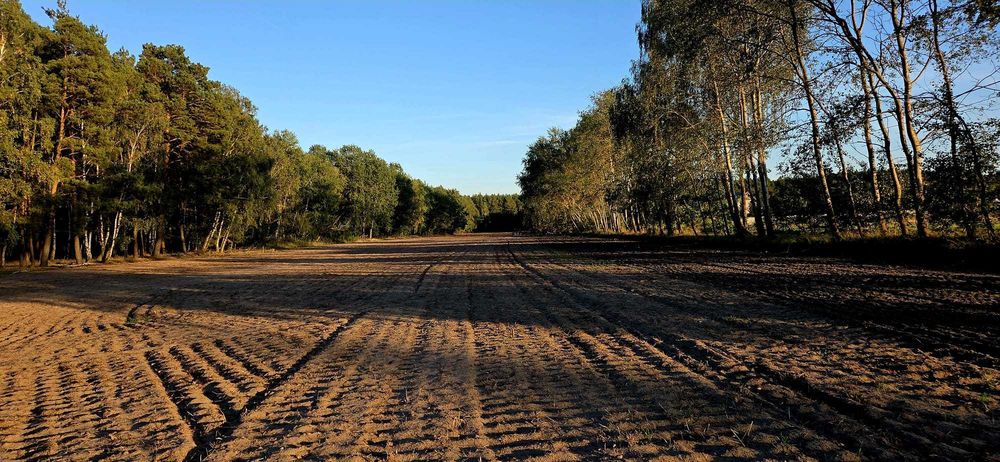 Sprzedam działkę  Łosiniec k. Skoków 3245 m2