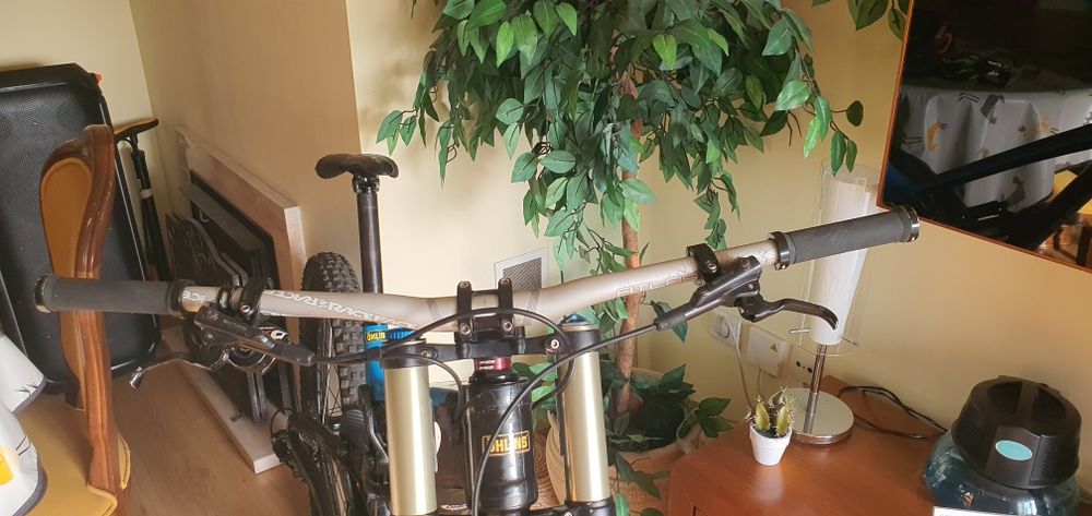 Saracen myst carbon