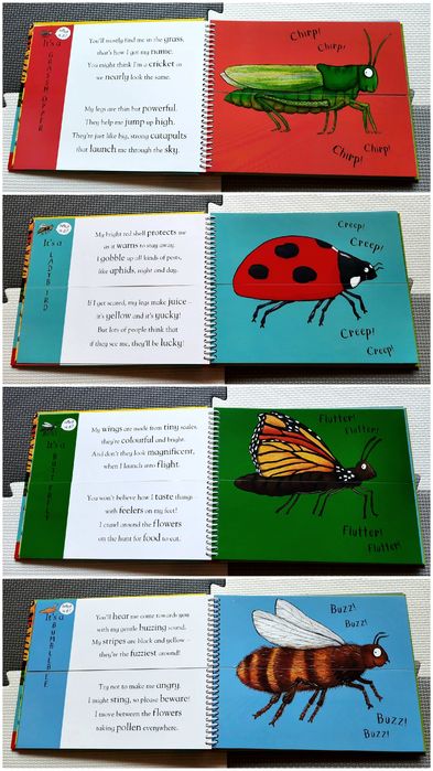 Axel Scheffler's Flip Flap Minibeasts kreatywna zabawa po angielsku
