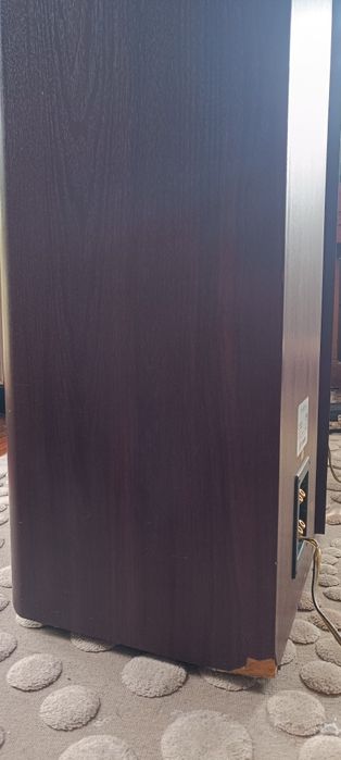 Tonsil Maestro 170