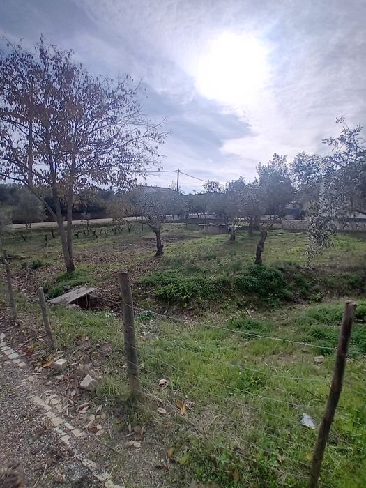 Grande Oportunidade no Alentejo - Ideal para Habitação ou Investimento