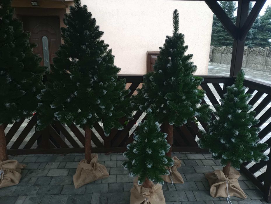 Choinka na PNIU sosna diamentowa OŚNIEŻONA 180 CM PRODUCENT premium!
