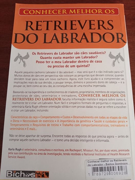 Conhecer melhor os retrievers do labrador