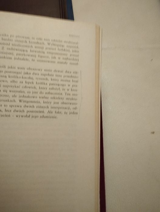 Arnhaim sztuka i percepcja wzrokowa