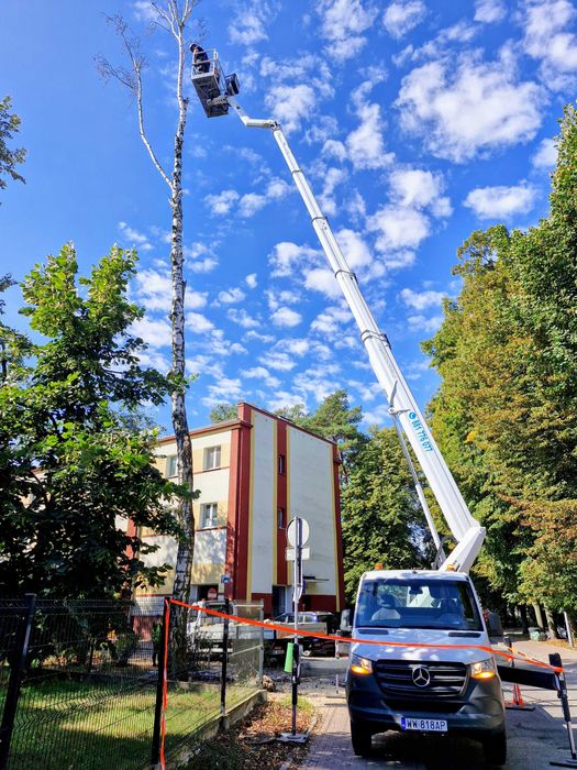 Wycinanie drzew, przycinanie, formowanie koron, Warszawa i okolice.