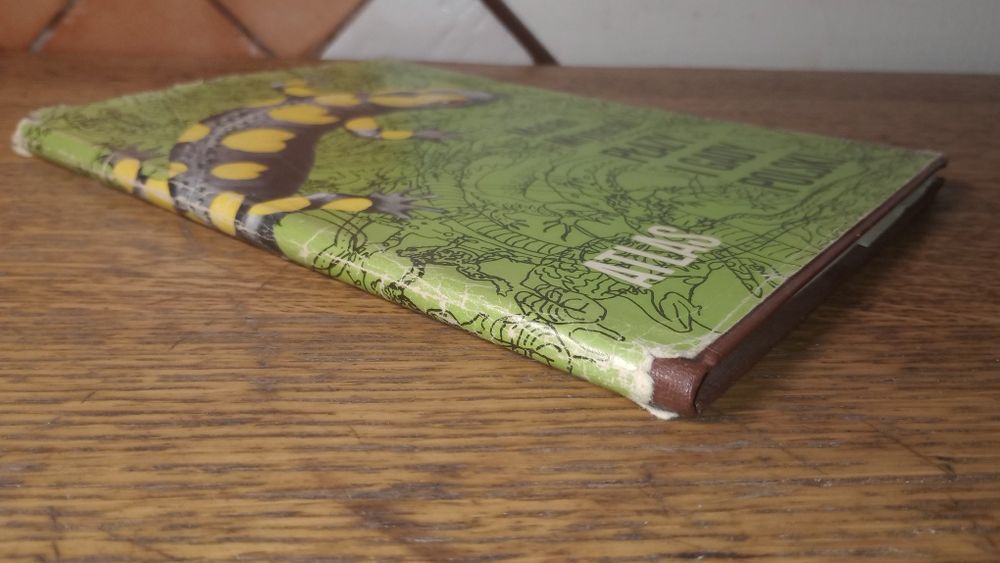 Płazy i gady Polski. Marian Młynarski