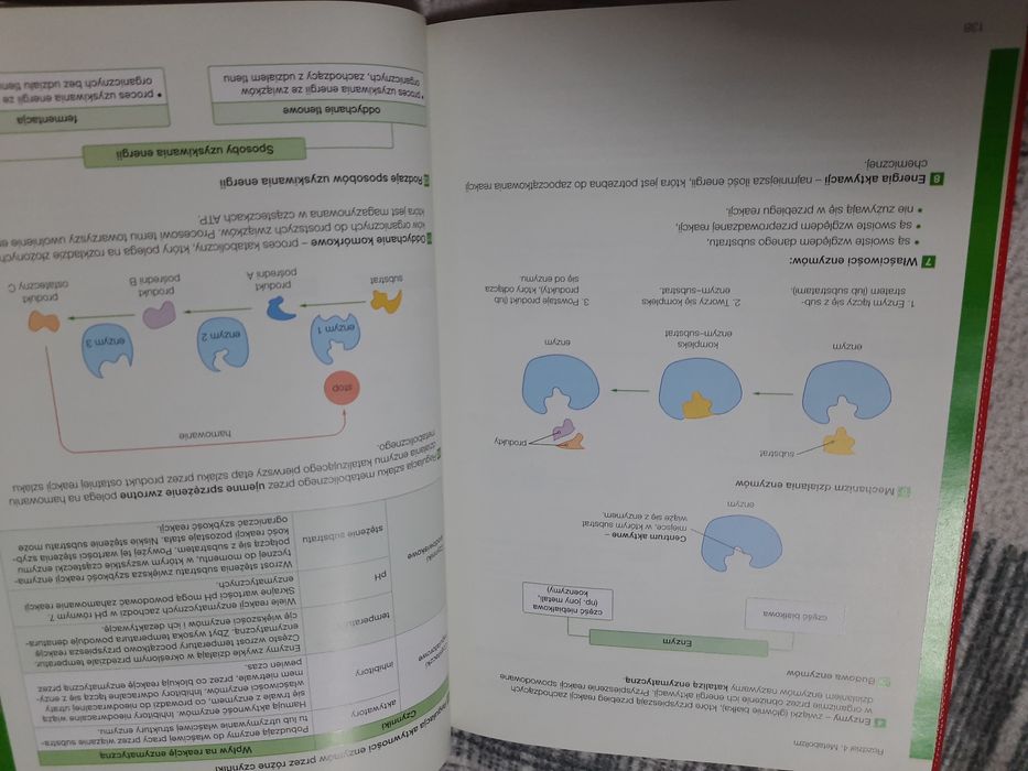 "Biologia na czasie " 1 - STAN IDEALNY