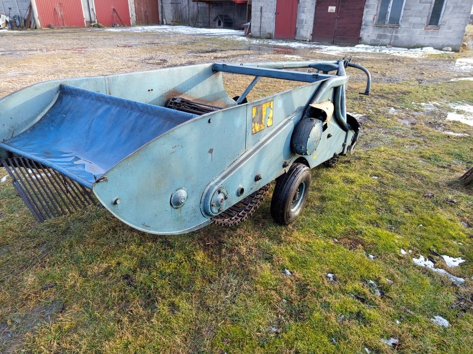 Ziemniaki warzywa chrzan cebula kopaczka