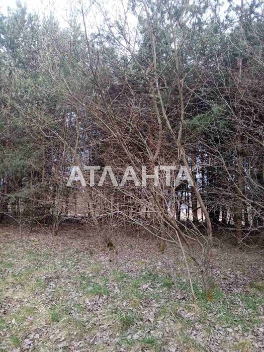 Продаж земельної ділянки в с. Паланки