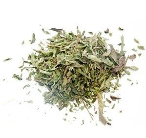 Стевия стевія медова трава