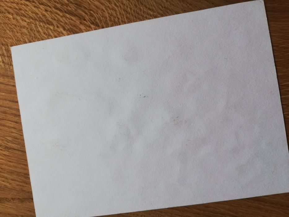 Akwarela Miniatura oryginał Katarzyna  Bruniewska-Gierczak