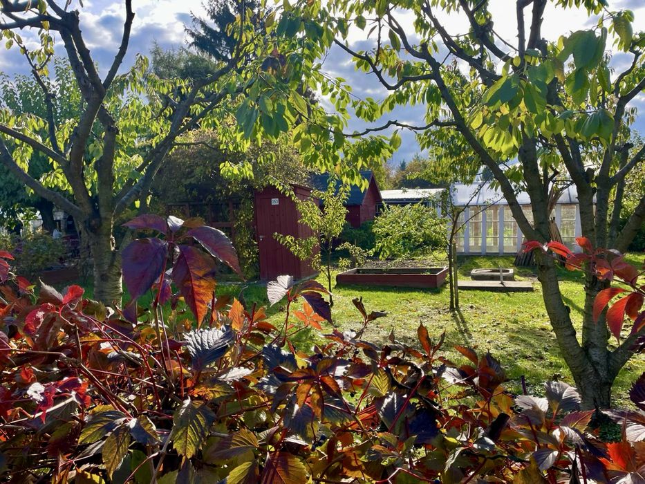 Malownicza działka ROD, duża powierzchnia.Mozliwość zakupu jednej.