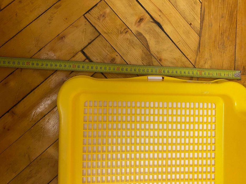 Собачий лоток