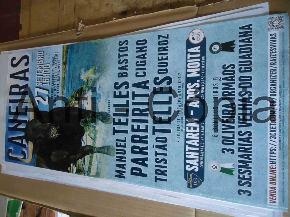 Toiros - Cartazes de Montra 4