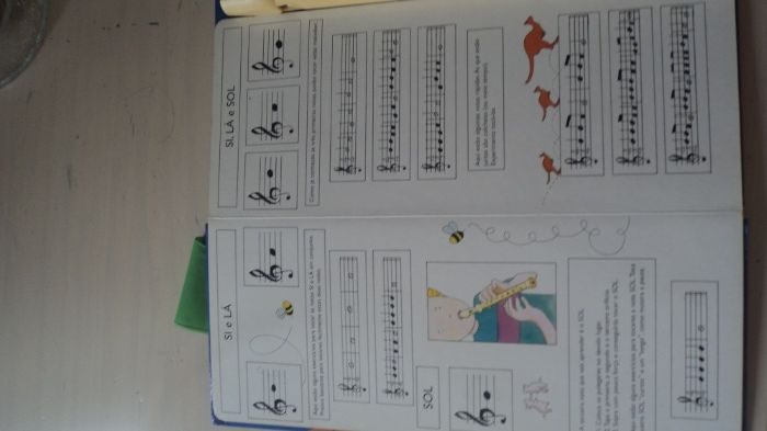Flauta e livro para aprender a tocar flauta