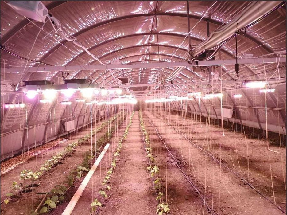 Фітолампа 200 ватт, теплиця, гроубокс, фіто лампа