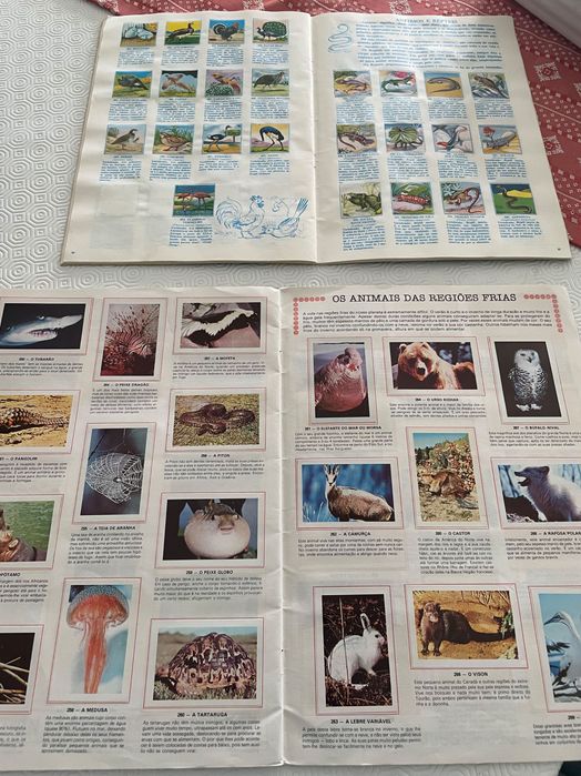 Cadernetas completas mundo animal