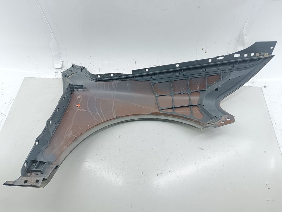 Guarda Lamas Esquerdo - VOLKSWAGEN Touareg (7LA, 7L6, 7L7) | 02 - 13