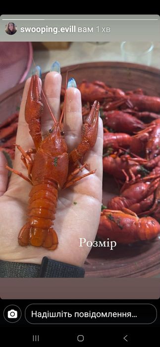 Продам свіжевиловлені раки та рибу